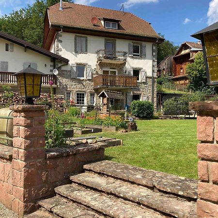 Aux Gites De L'Etang - Thannenkirch Bergheim Esterno foto