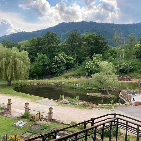 Aux Gites De L'Etang - Thannenkirch Bergheim Esterno foto