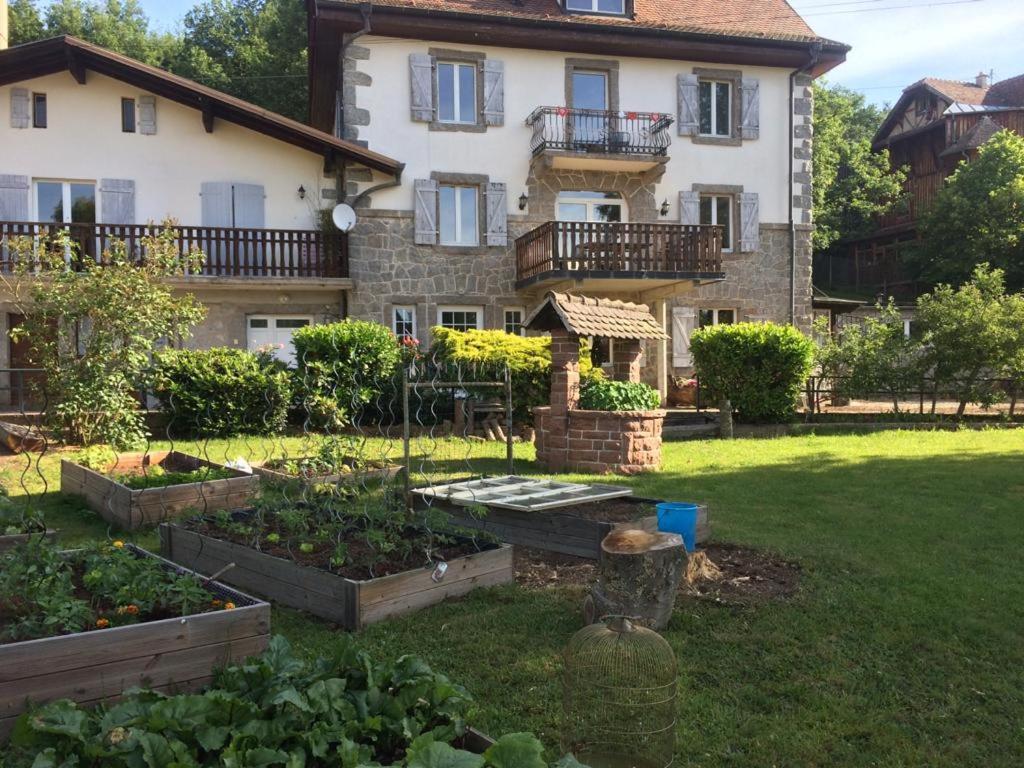 Aux Gites De L'Etang - Thannenkirch Bergheim Esterno foto