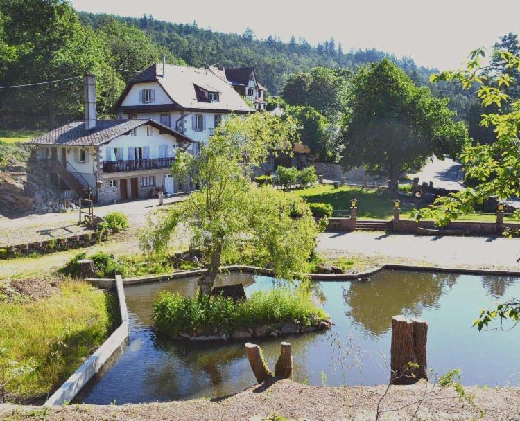 Aux Gites De L'Etang - Thannenkirch Bergheim Esterno foto