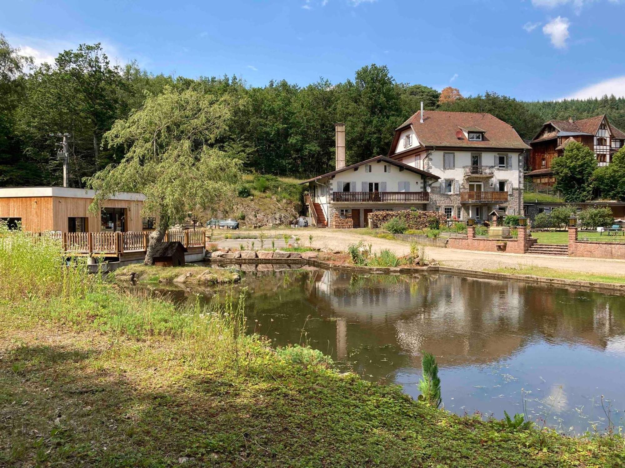 Aux Gites De L'Etang - Thannenkirch Bergheim Esterno foto