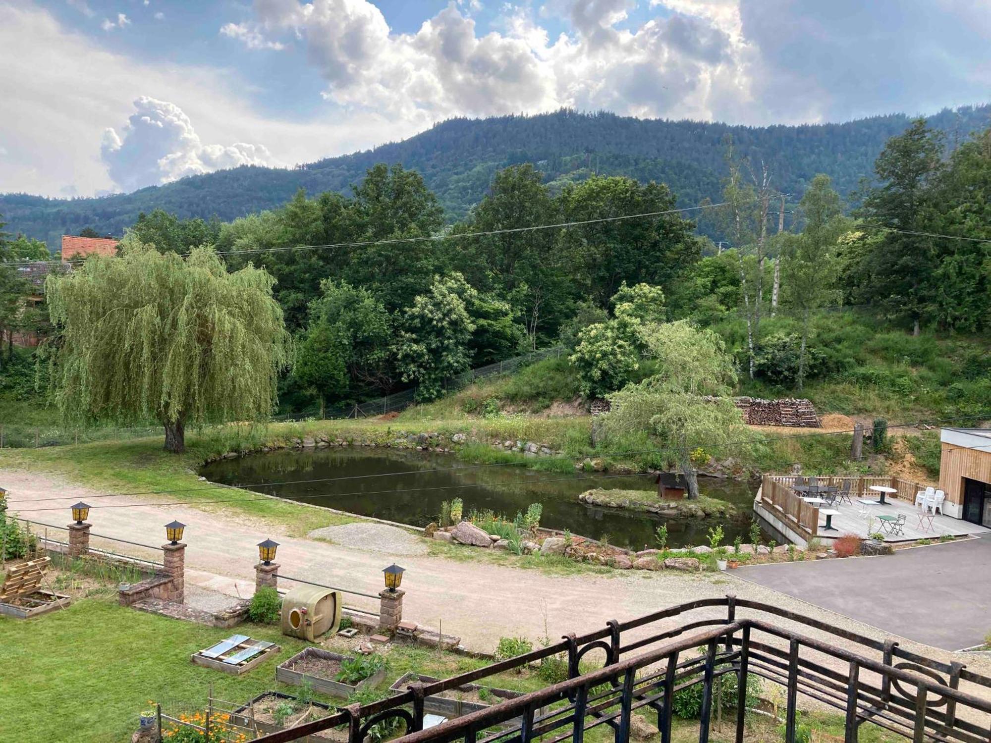 Aux Gites De L'Etang - Thannenkirch Bergheim Esterno foto